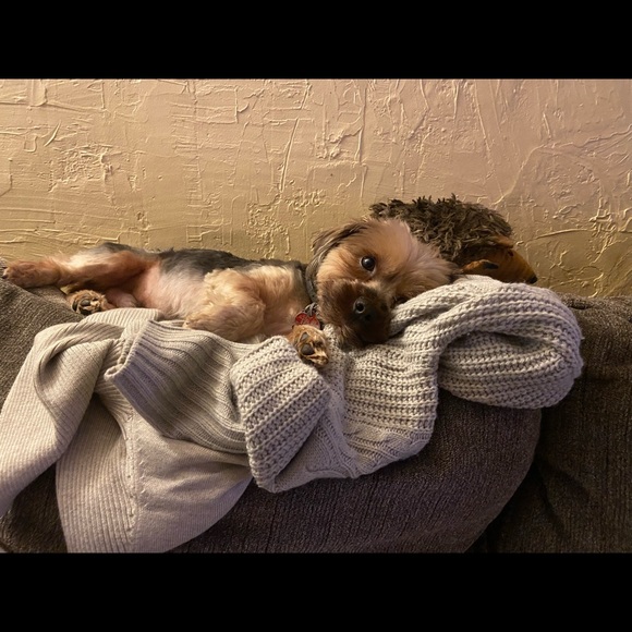 Meet your Posher, Marla - Picture 6 of 9